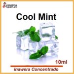 Aroma Inawera Concentrado Cool Mint (nº19)