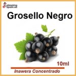 Aroma Inawera Concentrado Czarna Porzeczka (nº11)