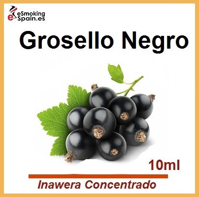 aroma-inawera-concentrado-czarna-porzeczka-no11-inawera-aroma-grosello-negro-czarna-porzeczka Aroma Inawera Concentrado Czarna Porzeczka (nº11) - Imagen 1