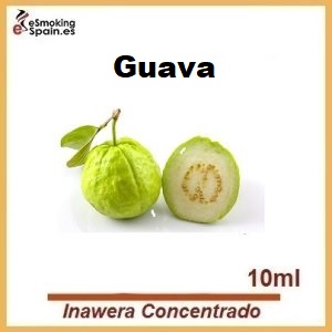 aroma-inawera-concentrado-guava-no53-guava Aroma Inawera Concentrado Guava (nº53) - Imagen 1