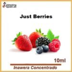 Aroma Inawera Concentrado Just Berries (nº67)