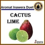 Aroma Inawera Duets Cactus Lime (nº5)
