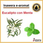 Aroma Inawera e-aroma Eucalipto con menta (nº17)