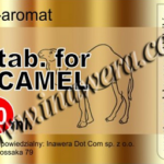Aroma Inawera e-aroma for Camel (nº2)