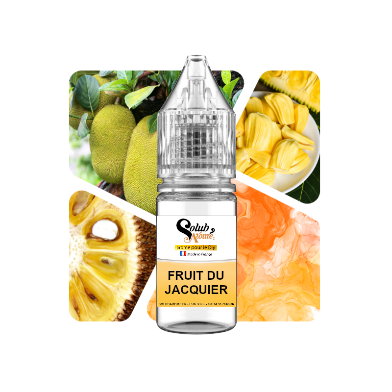 aroma-solubarome-fruit-du-jacquier-192-fruit-du-jacquier-solub-arome-10ml Aroma SolubArome Fruit Du Jacquier (192) - Imagen 1